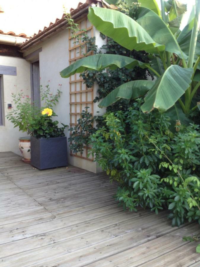 圣伊莱尔德布里Soleil Lotus公寓 外观 照片